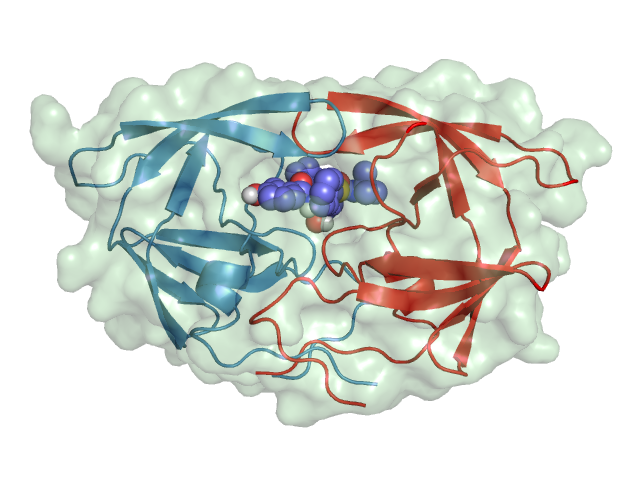 HIV-1 protease