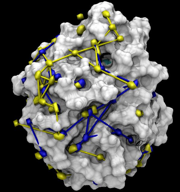 Surface representation of retinol binding protein together with a water network between hydration sites.
