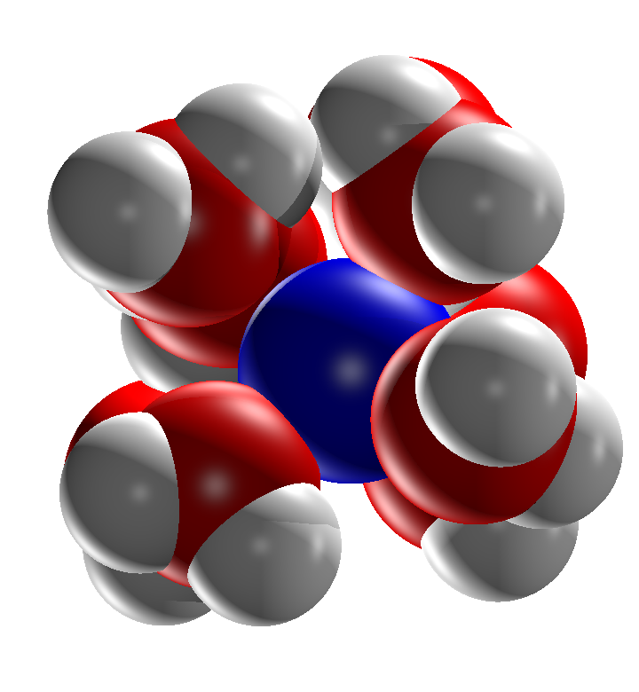 Sodium ion surrounded by water molecules.