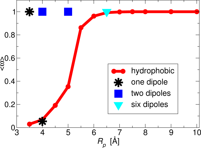 [graph: openness for hydrophobic pores and pores
with dipolar pore lining]